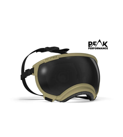 Extra Large V2 Rex Specs