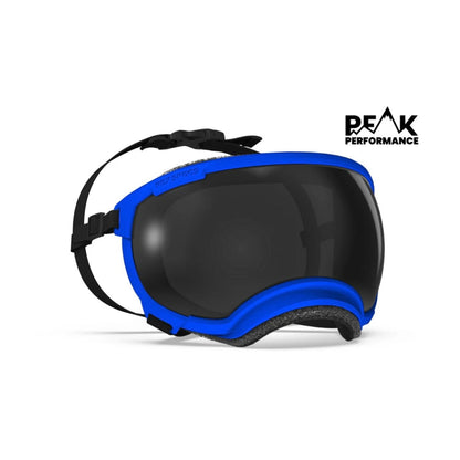 Extra Large V2 Rex Specs