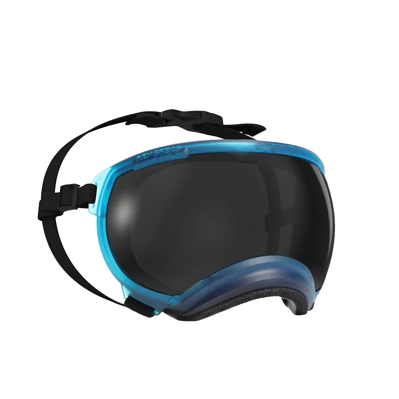 Medium V2 Rex Specs – Performance Dog Supply