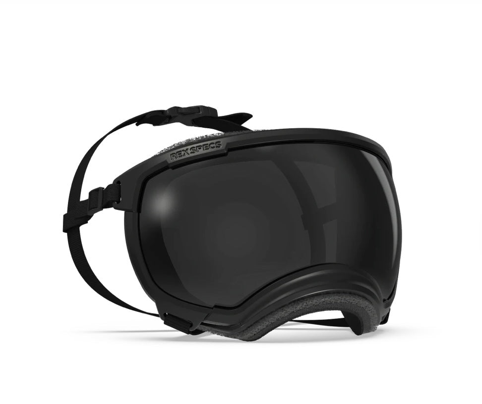 Extra Large V2 Rex Specs