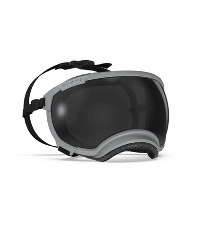 Extra Large V2 Rex Specs