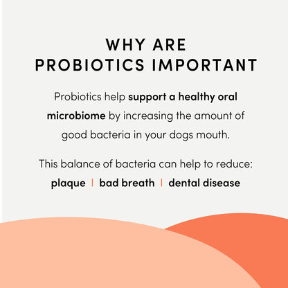 Crumps Plaque Busters Probiotic Mouthcare