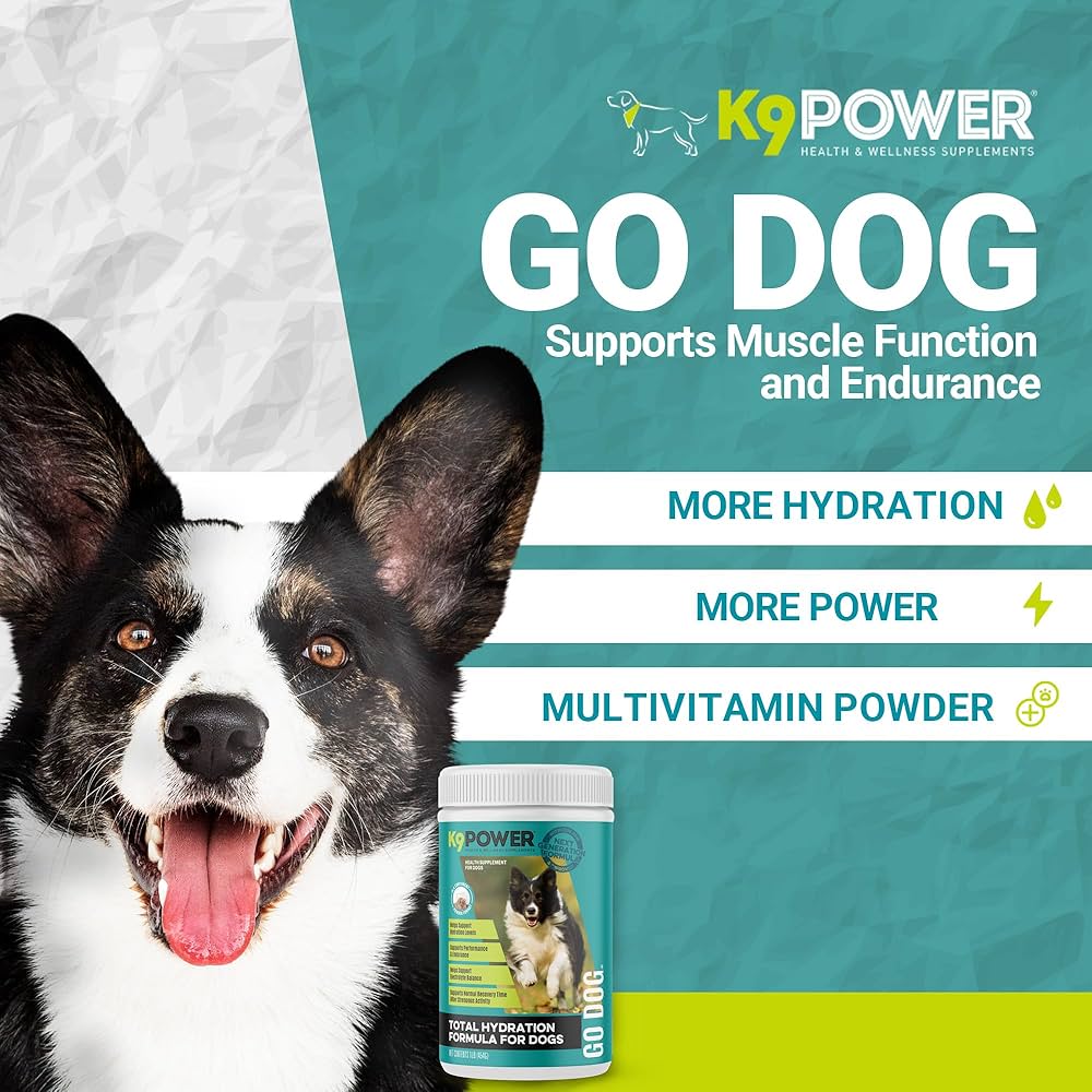 K9 Power Go Dog