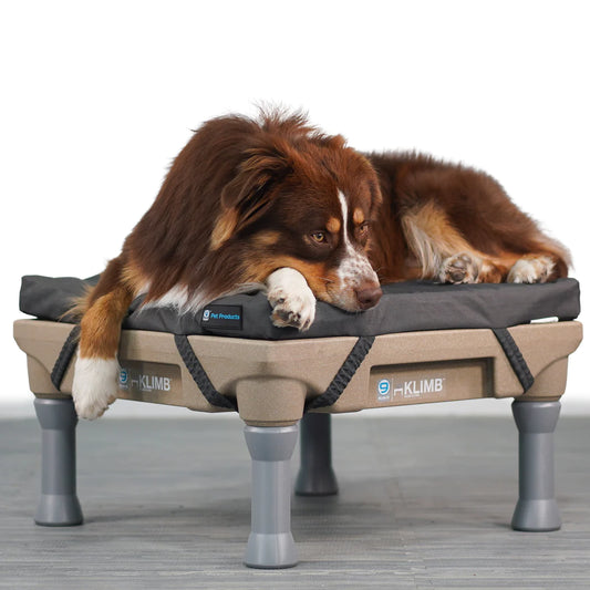 Klimb for dogs online