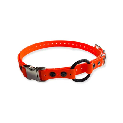 3/4” Ecollar Quick Buckle Bungee Strap