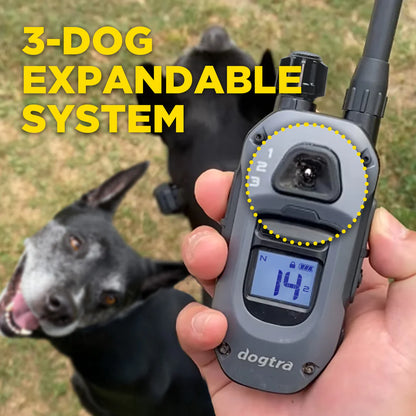 Dogtra 280X 1-Dog Unit