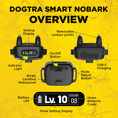 Dogtra Smart No Bark