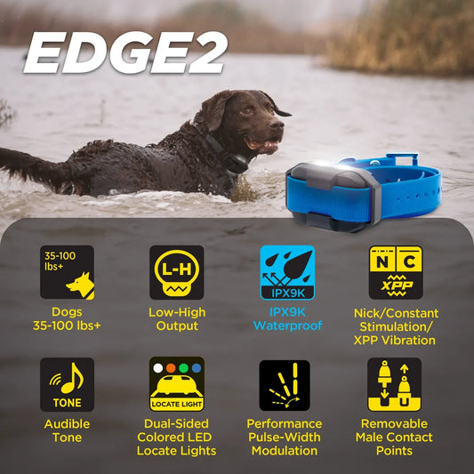Dogtra EDGE2 ADDITIONAL RECEIVER BLUE