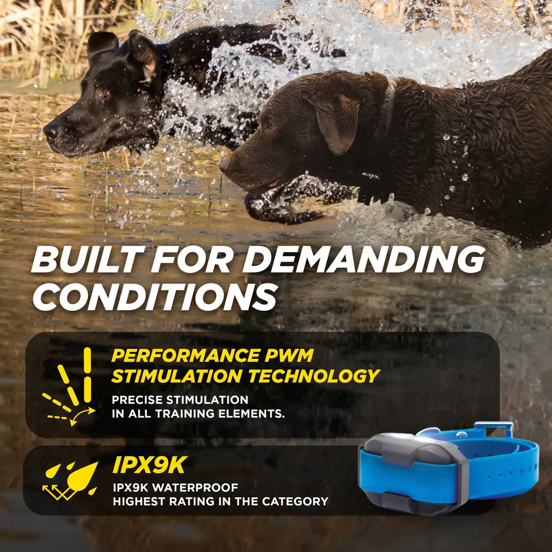 Dogtra EDGE2 ADDITIONAL RECEIVER BLUE