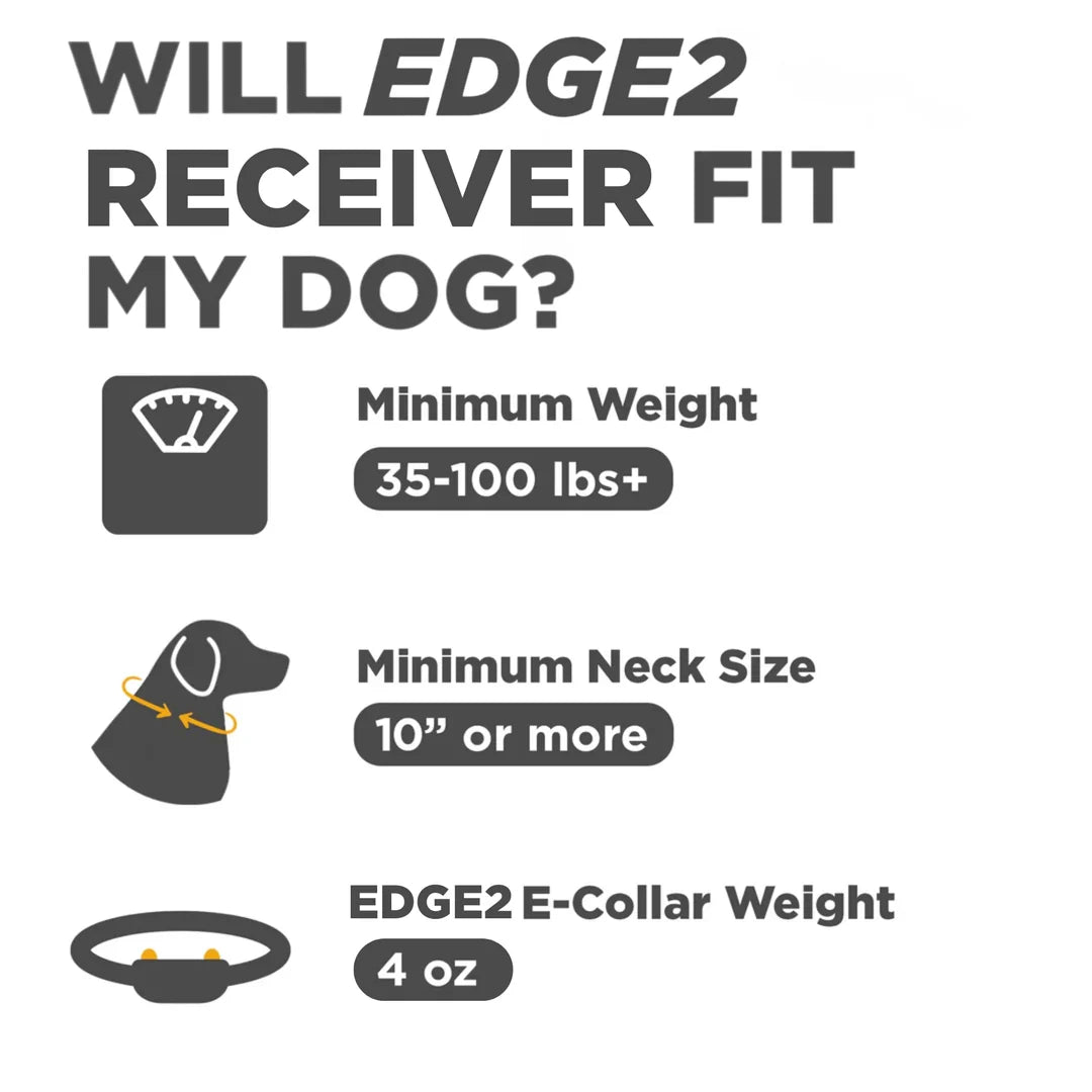 Dogtra EDGE2 ADDITIONAL RECEIVER BLUE