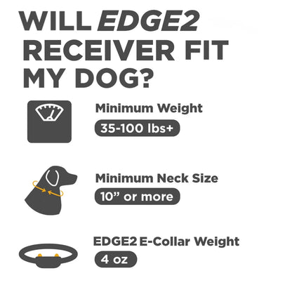 Dogtra EDGE2 ADDITIONAL RECEIVER BLUE
