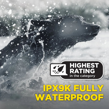 Dogtra 1900X Black Edition 1-Dog Unit