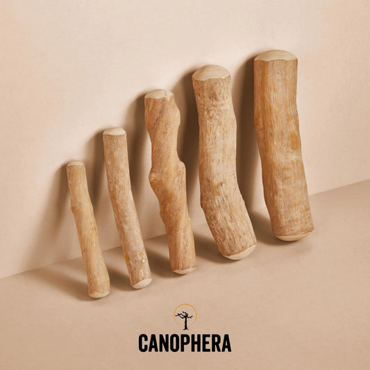 Canophera Coffee Wood Chew