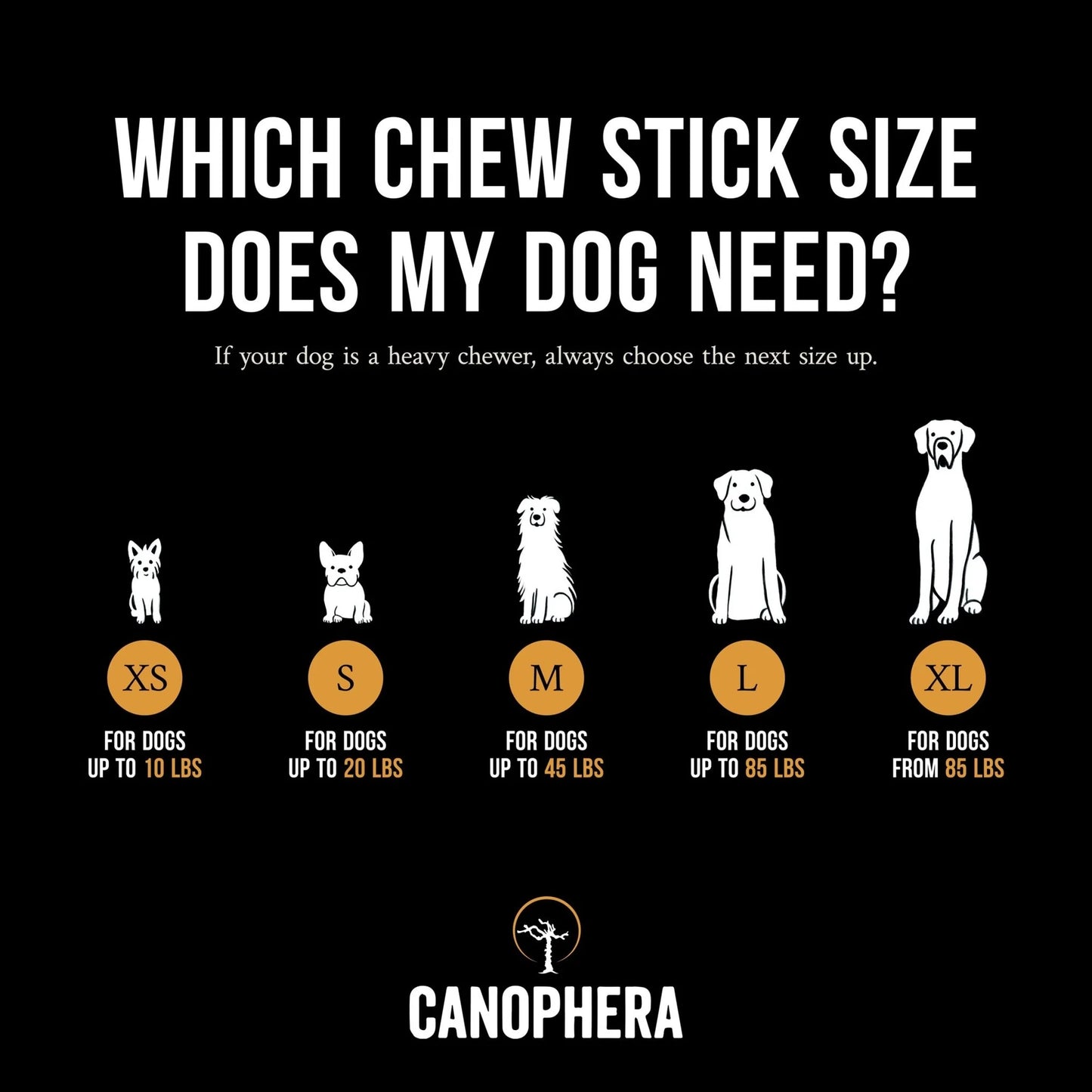 Canophera Coffee Wood Chew