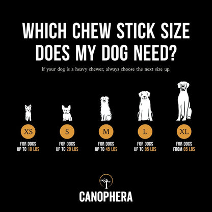 Canophera Coffee Wood Chew