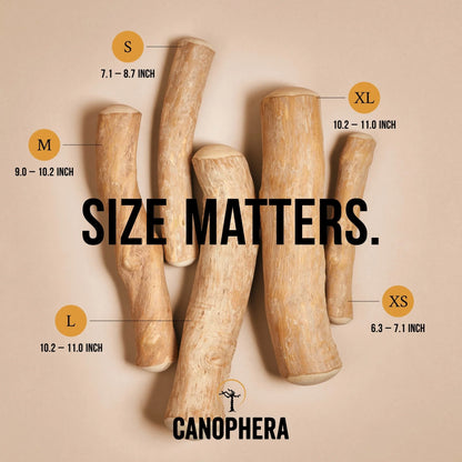 Canophera Coffee Wood Chew