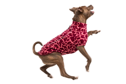 Ruffwear Climate Changer™ Fleece Vest