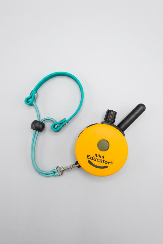 Biothane Remote Wristlet