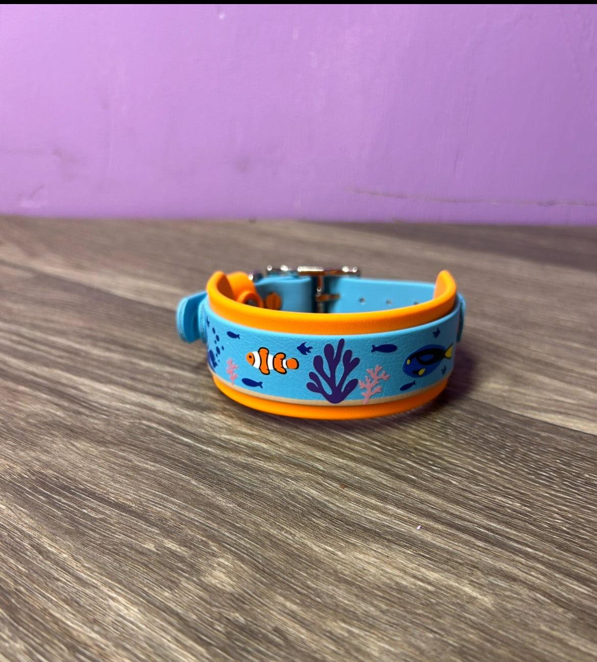 Nemo Double Layered Biothane Collar