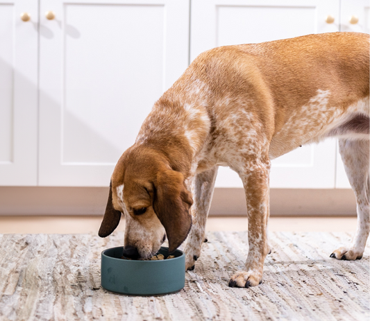 Open Farm RawMix Freeze Dried Raw Morsels 13.5oz