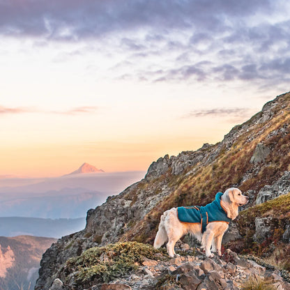 Wilderdog Sherpa Jacket