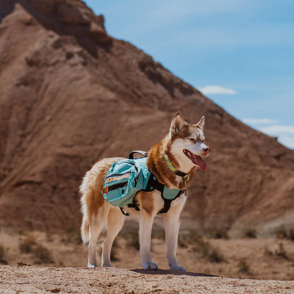 Wilderdog Dog Backpack