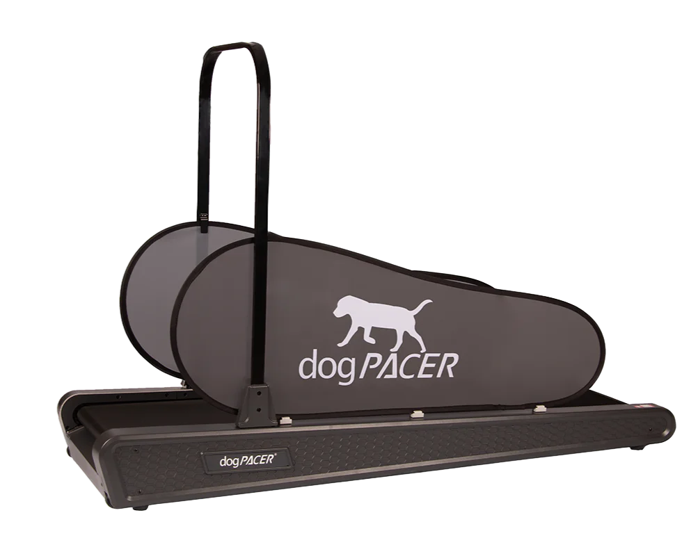 Dogpacer sale