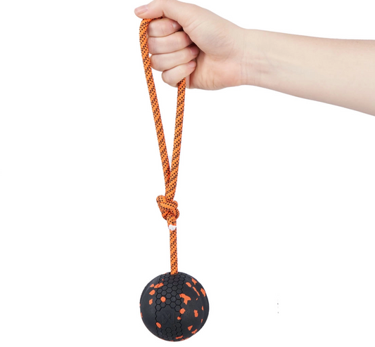 Non-Stop Dog Ball On Rope