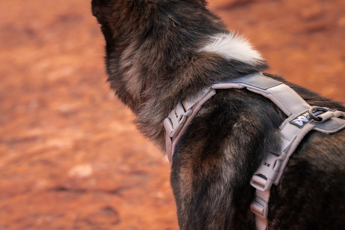 NSD Trekking line harness CLIP'N™