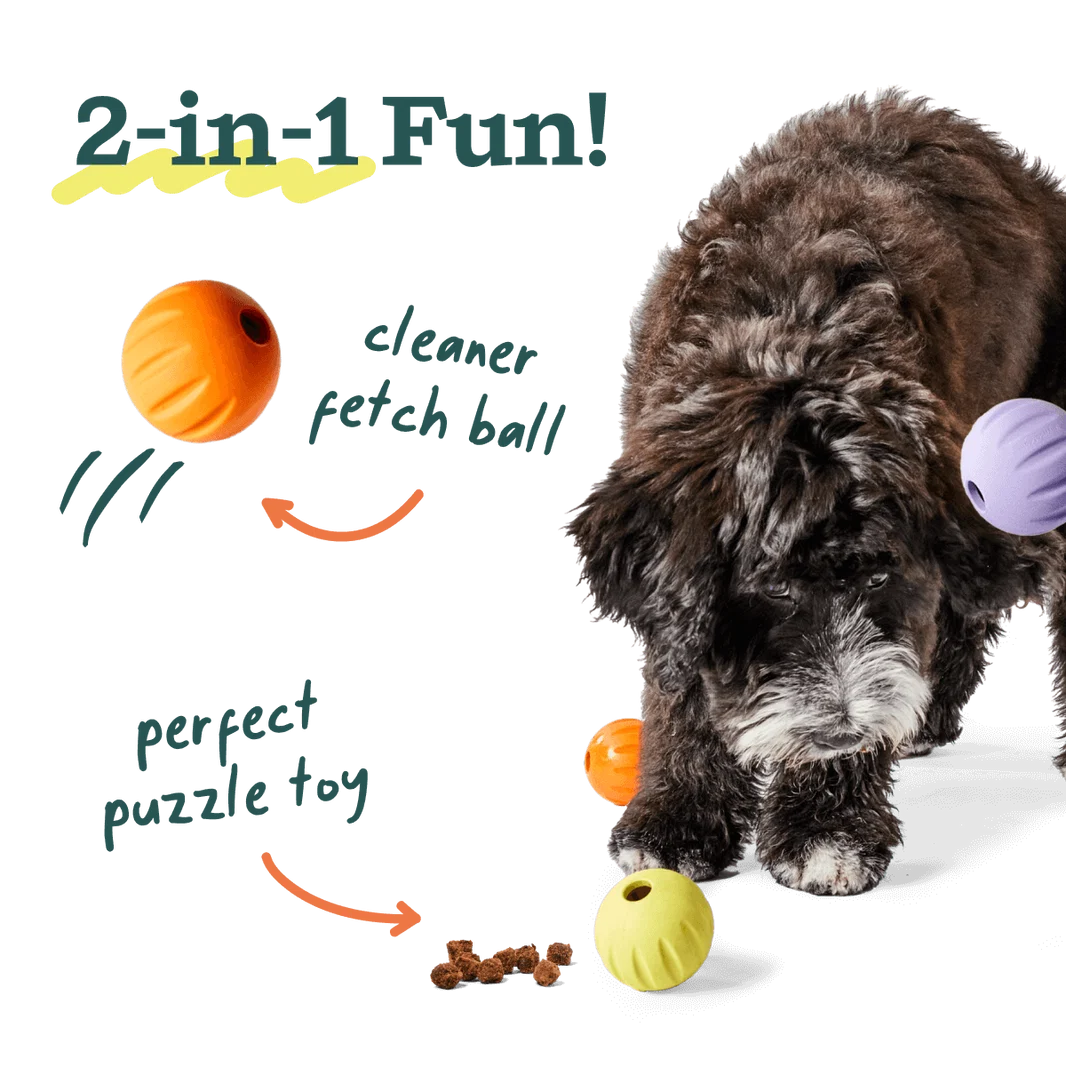 Woof Forager Flyball 3 Pack