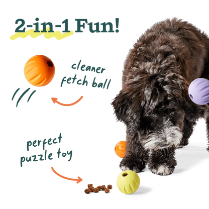 Woof Forager Flyball 3 Pack