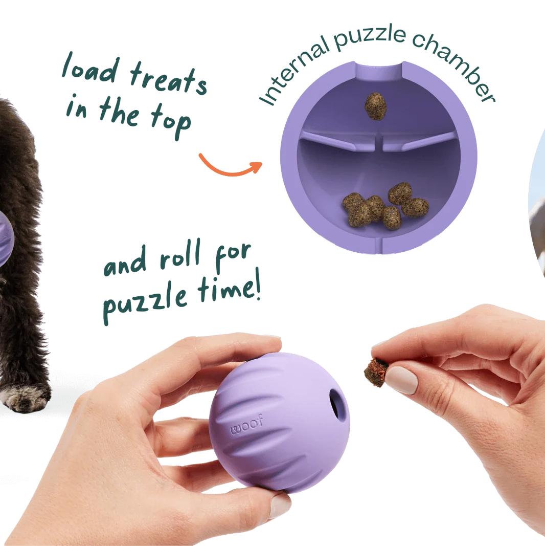 Woof Forager Flyball 3 Pack