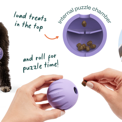 Woof Forager Flyball 3 Pack