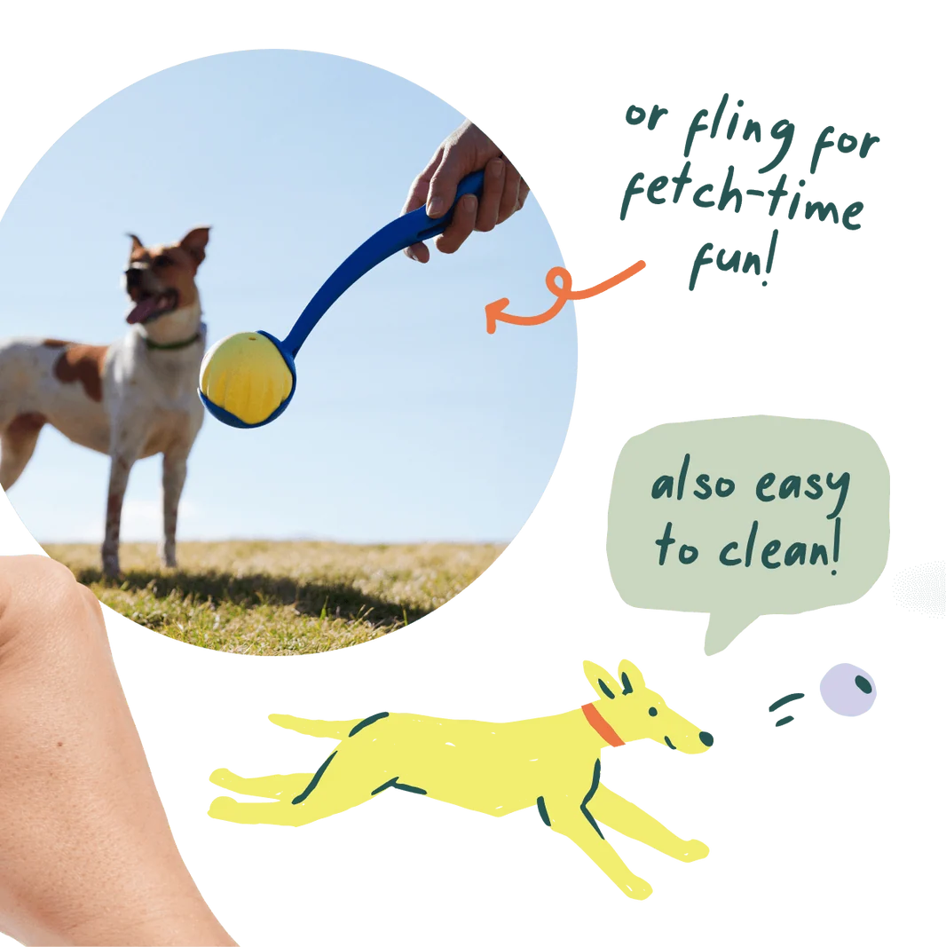 Woof Forager Flyball 3 Pack