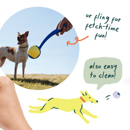 Woof Forager Flyball 3 Pack