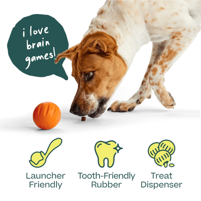 Woof Forager Flyball 3 Pack
