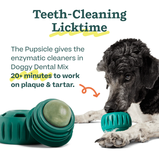 Doggy Dental Mix