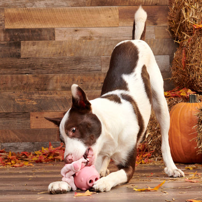 BARK Hambone Pig Super Chewer Toy - Performance Dog Supply