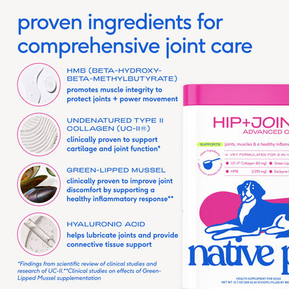 Native Pet - Hip+Joint Advanced Care Powder Joint, Muscle & Inflammation