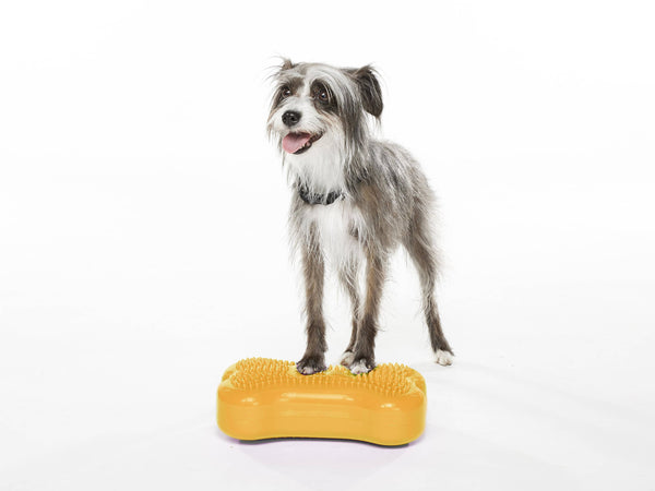 FitPAWS - K9FITbone MINI Set of 2