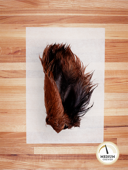 TREAT BAR - Beef Ear with Hair - 1 PIECE