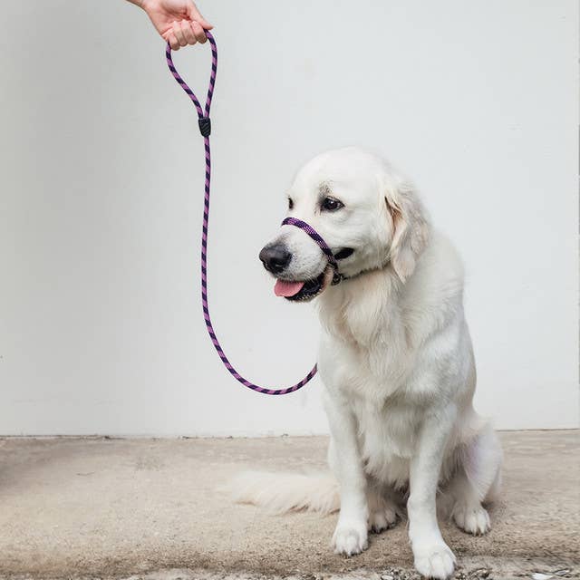 Ezydog Luca Slip Leash