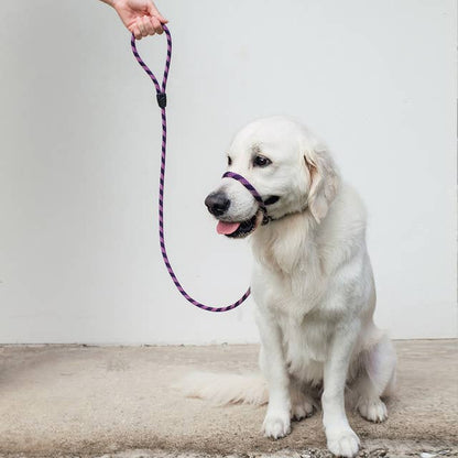 Ezydog Luca Slip Leash