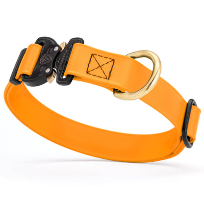 BioThane Dog Collar/Cobra Buckle