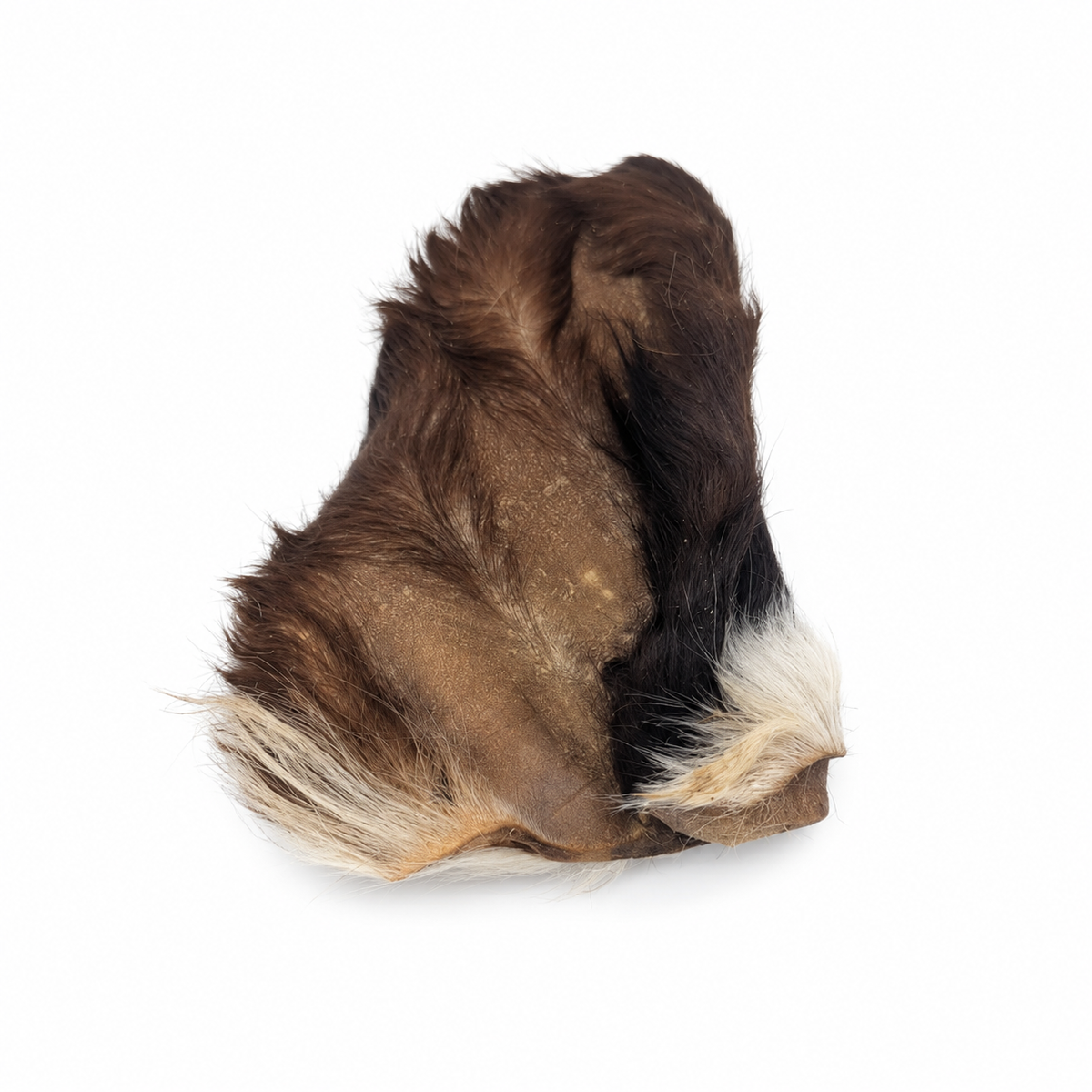 Bulk - Beef Ears with Hair – 10 Pack