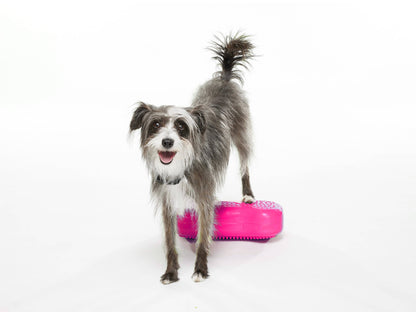 FitPAWS - K9FITbone MINI Set of 2