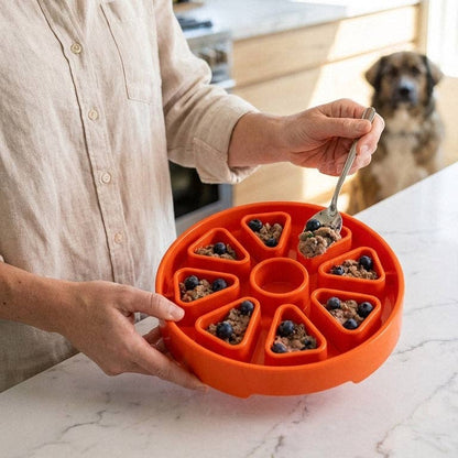Citrus Softie eTray Shallow Slow Feeder Dog Bowl