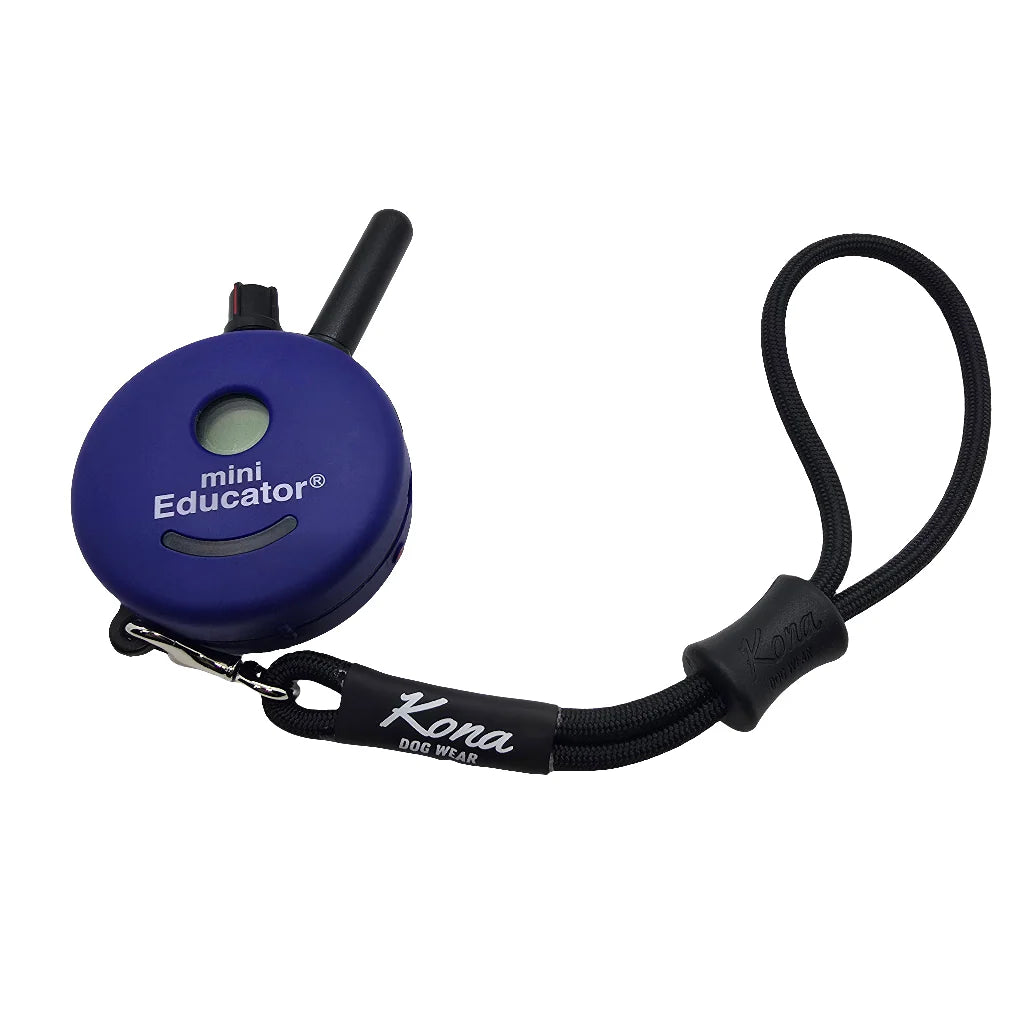 Kona Paracord Remote Wristlet