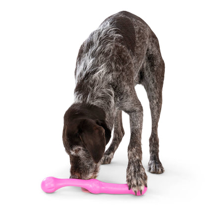 Zwig® Dog Toy for Play, Tug, and Fetch - Performance Dog Supply