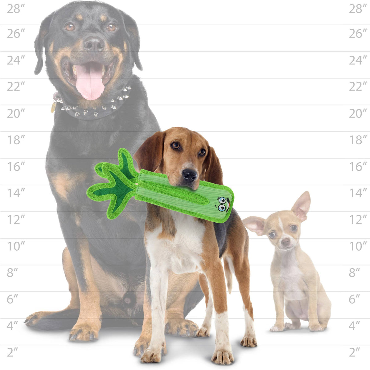 Tuffy Celery Squeaky Dog Toy